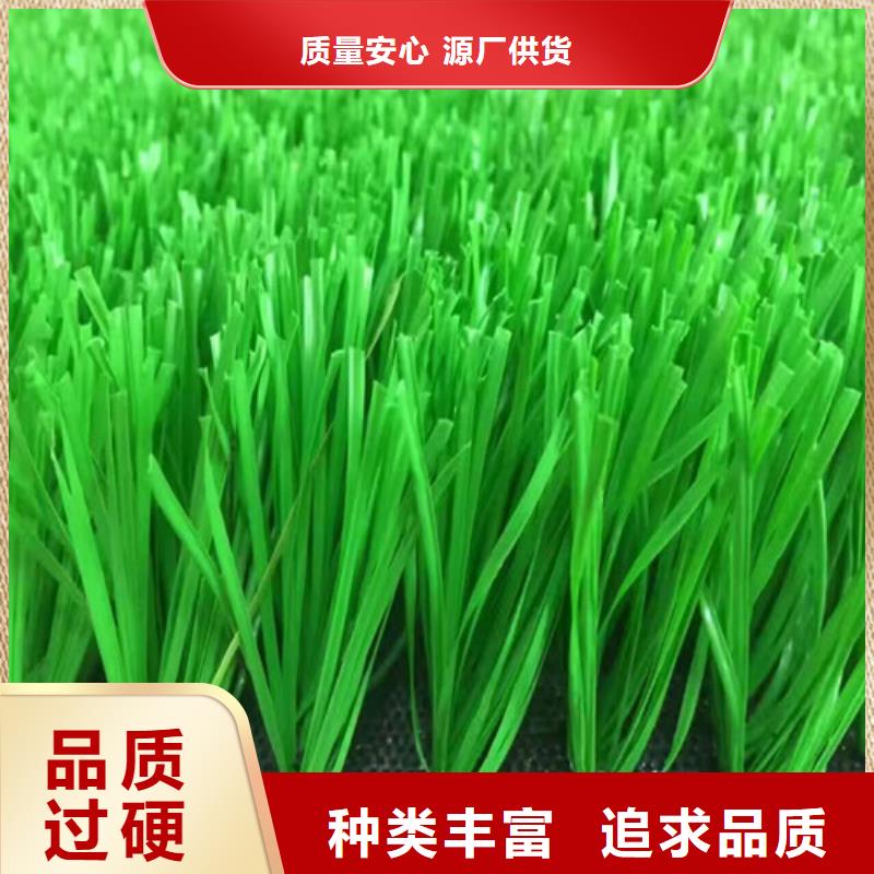 人造草坪塑膠球場(chǎng)服務(wù)周到