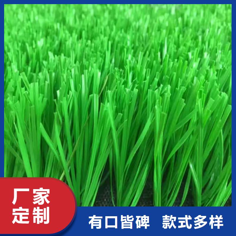 人造草坪公園塑膠跑道現(xiàn)貨直發(fā)