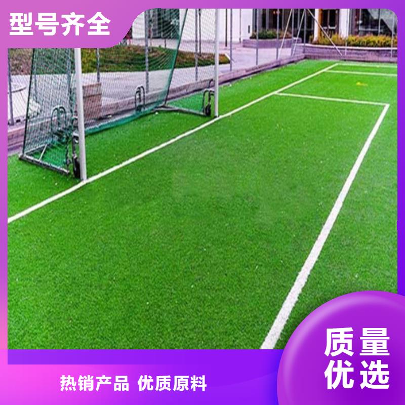 重信譽(yù)幼兒園仿真草坪廠家直銷