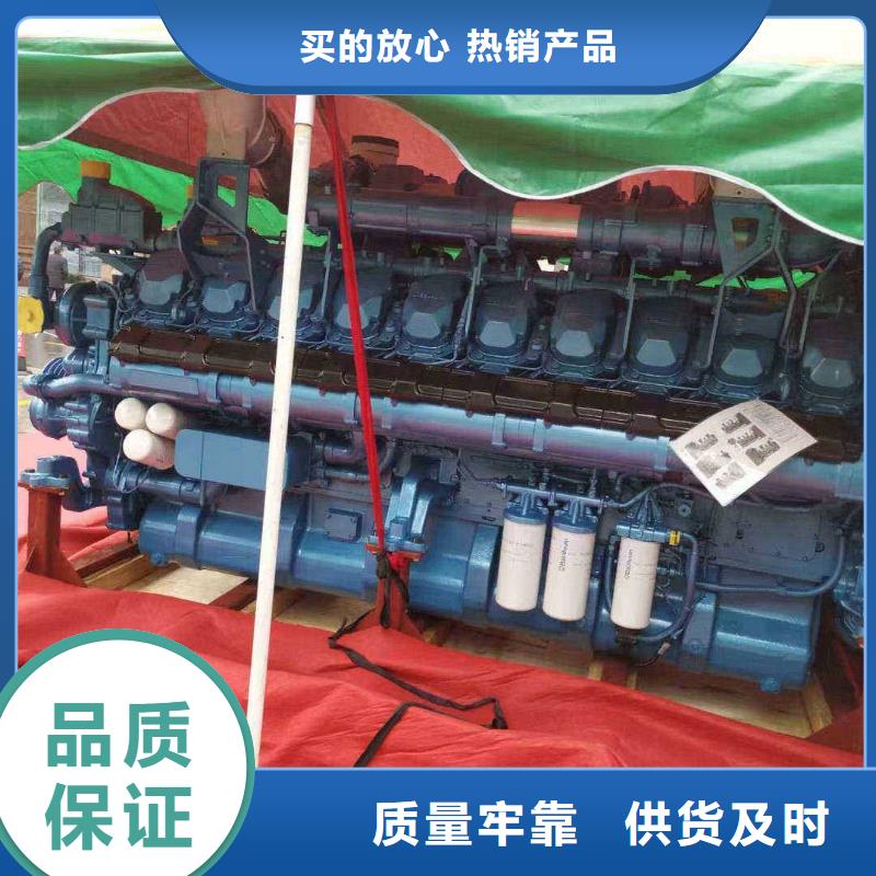 安国发电机租赁公司