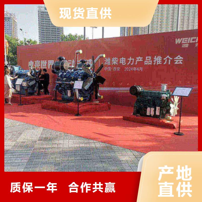徐水柴油發(fā)電機(jī)養(yǎng)護(hù)