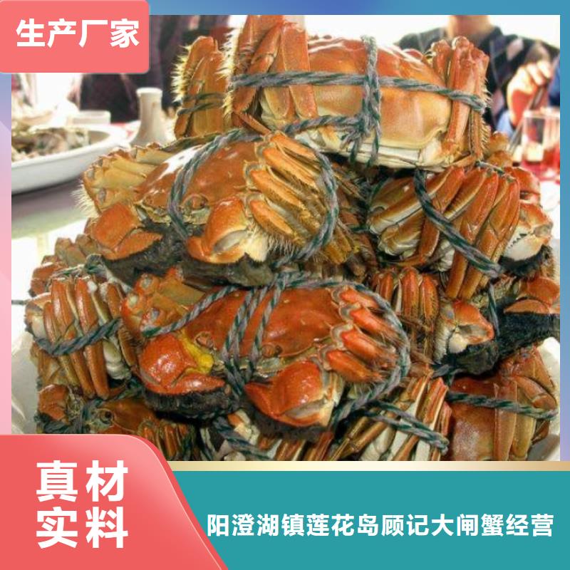 陽澄湖大閘蟹-陽澄湖大閘蟹全國配送