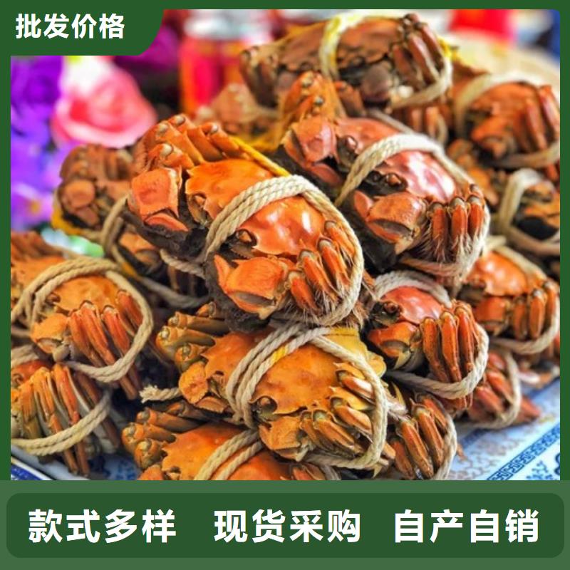 價(jià)格合理的大閘蟹公司