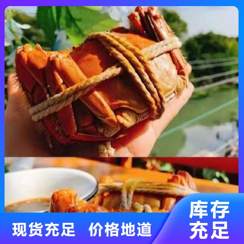 價(jià)格合理的大閘蟹公司