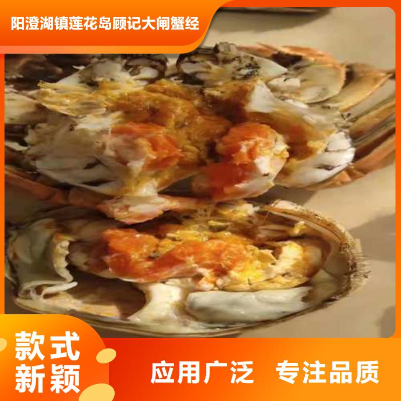 螃蟹廠家-全國(guó)接單