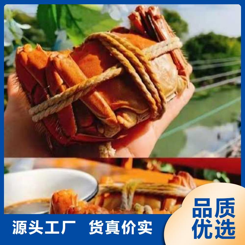 靠譜的螃蟹廠家