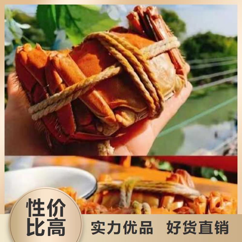 谯城区阳澄湖大闸蟹团购