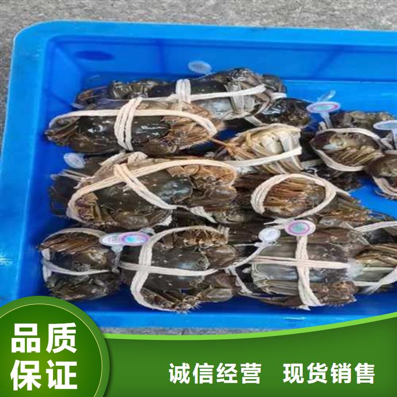 柞水縣陽澄湖蓮花島