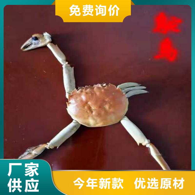 價(jià)格合理的大閘蟹公司