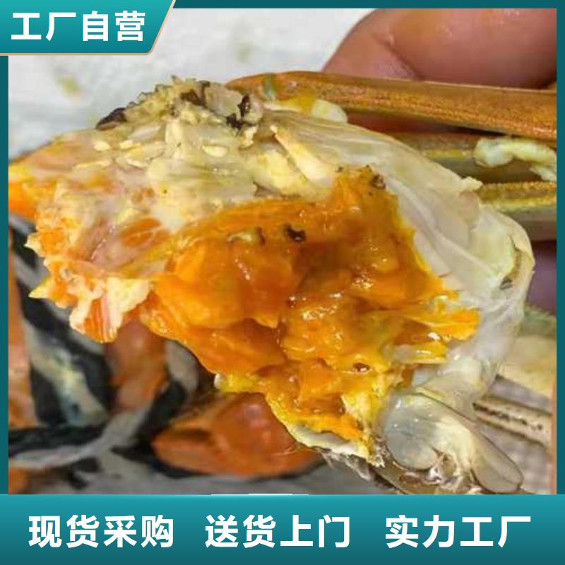 陽澄湖大閘蟹-陽澄湖大閘蟹全國配送