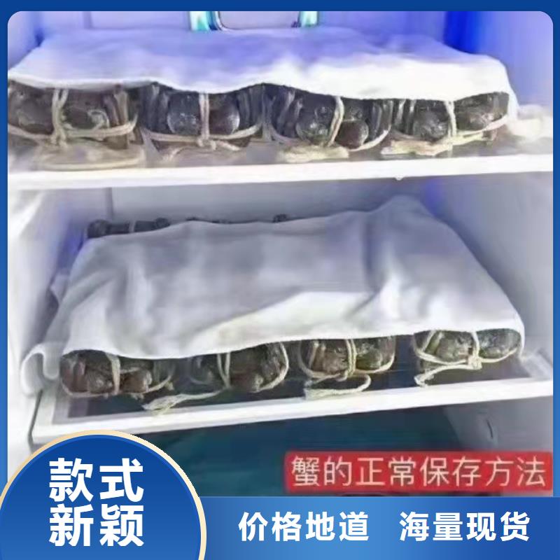 仁壽陽澄湖大閘蟹快遞到家