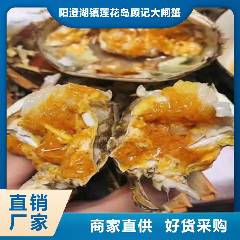 大閘蟹供應商