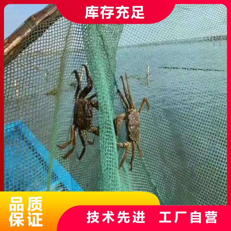 大闸蟹-客户一致好评