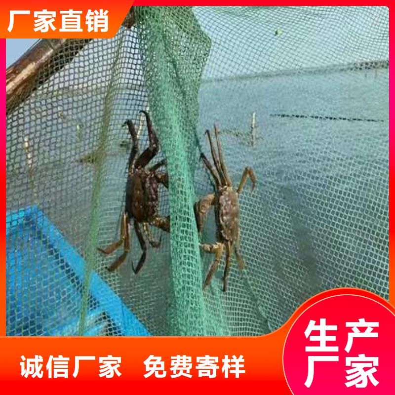 超大閘蟹廠家—薄利多銷