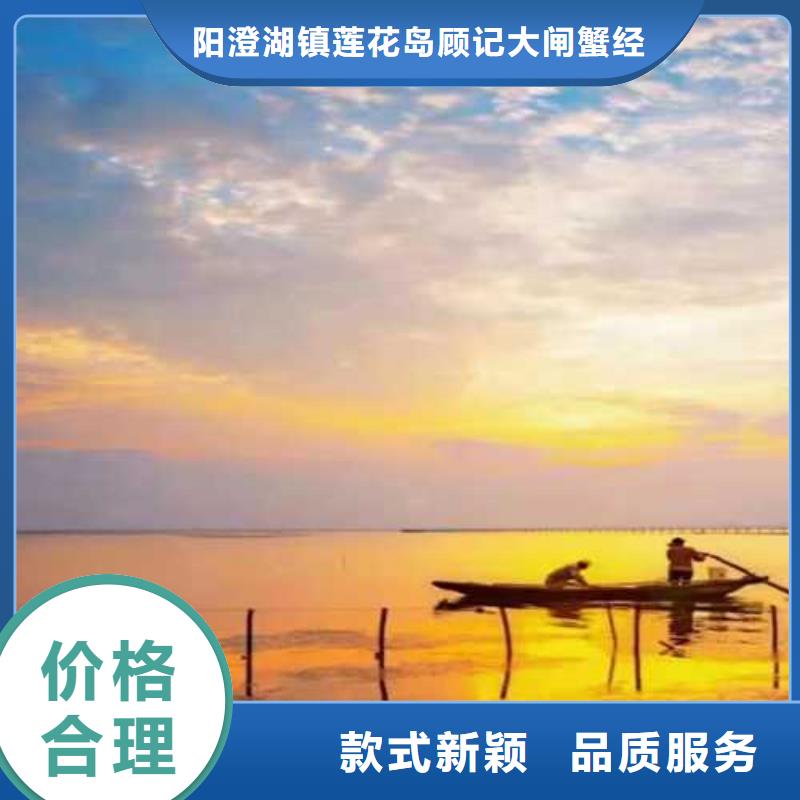 柞水縣陽澄湖蓮花島