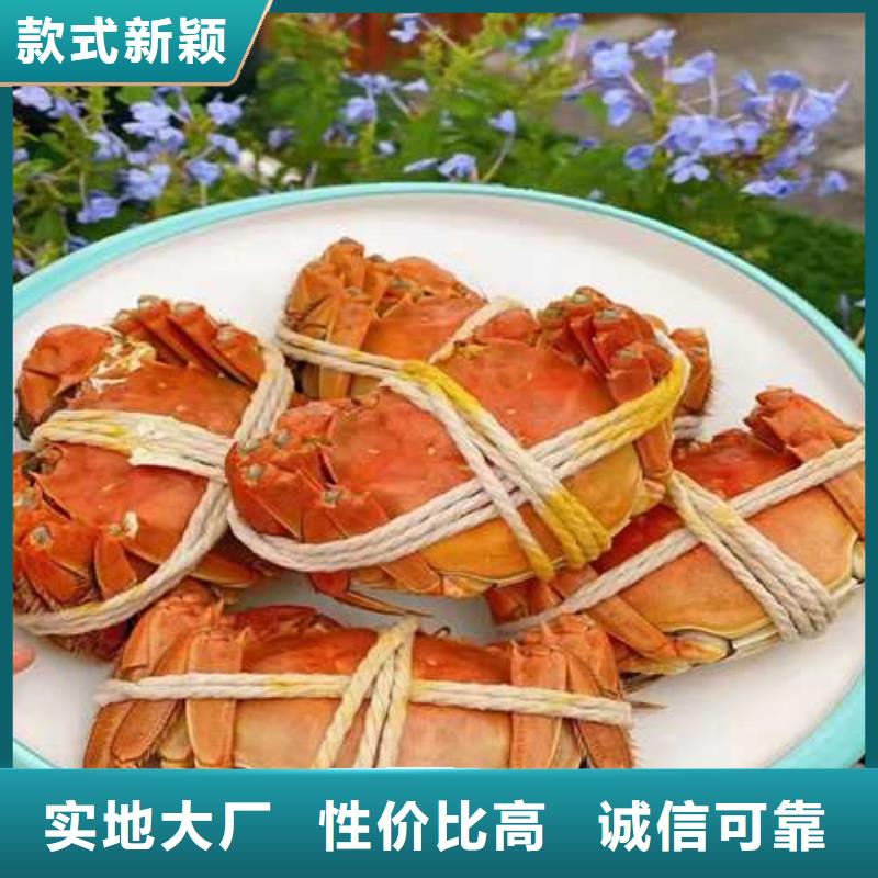 超大閘蟹廠家—薄利多銷