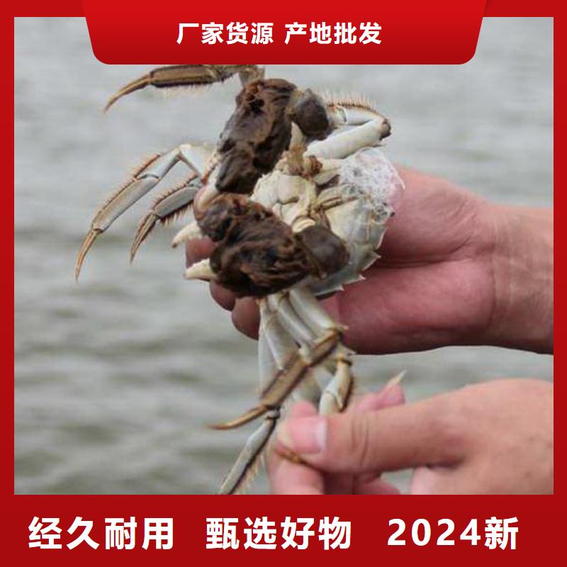 柞水縣陽澄湖蓮花島