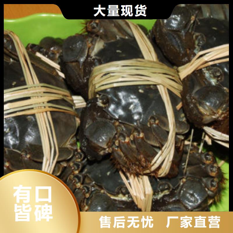 陽澄湖蟹哪家好蘇州蓮花島