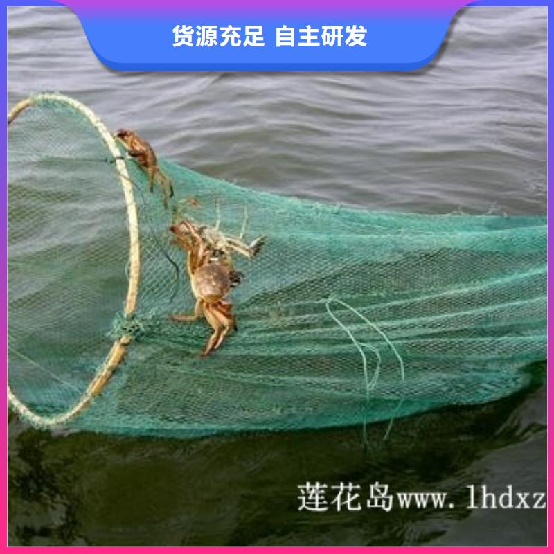 陽澄湖蟹哪家好蘇州蓮花島
