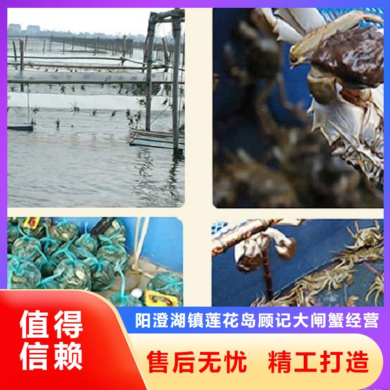 南方大閘蟹禮盒裝