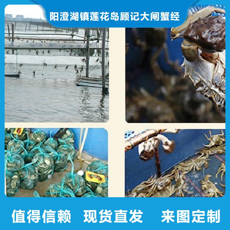 陽澄湖蟹哪家好蘇州蓮花島