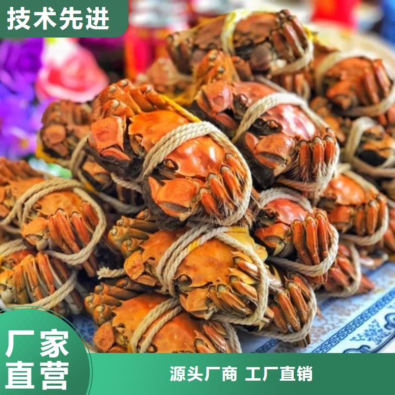 梁平阳澄湖大闸蟹精选美味