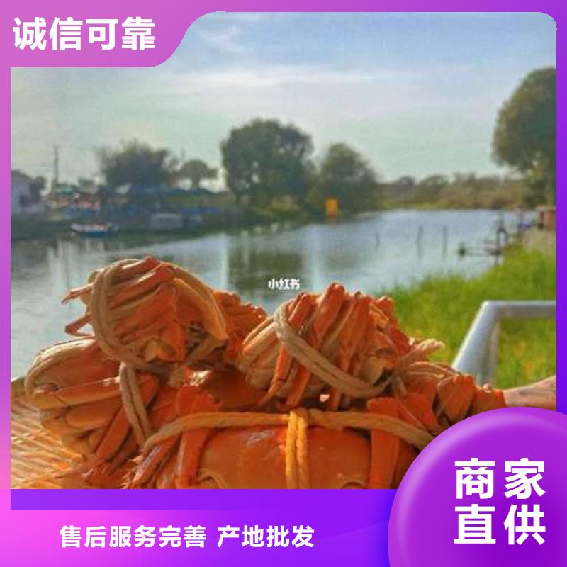 阳澄湖大闸蟹厂家直销-本地生产厂家