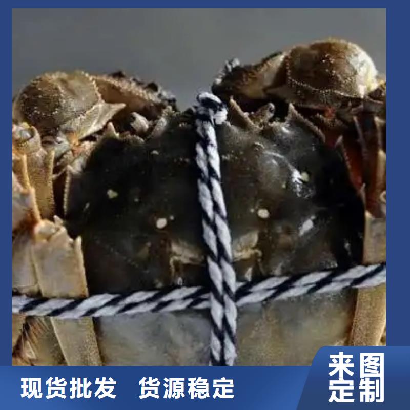 蟹阳澄湖大闸蟹零售店从厂家买售后有保障