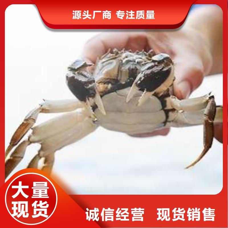 阳澄湖大闸蟹厂家直销-本地生产厂家