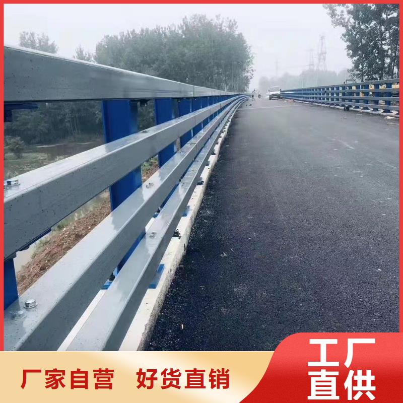 护栏市政道路防护栏用品质赢得客户信赖