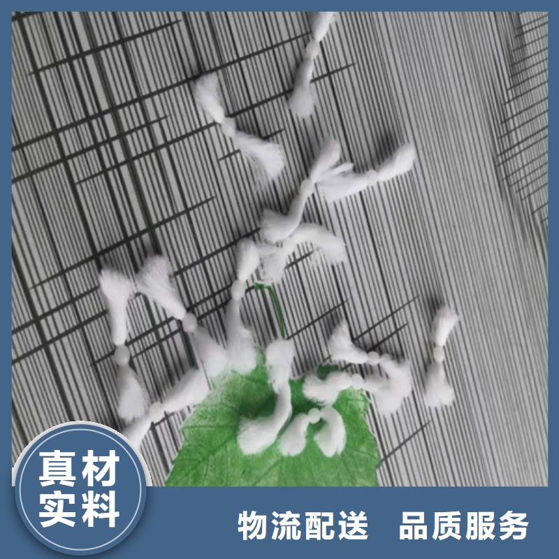 水處理填料凈水pac專業(yè)供貨品質(zhì)管控