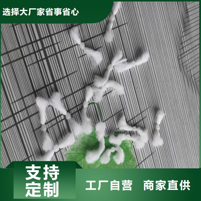 水处理填料,活性炭厂家供应采购