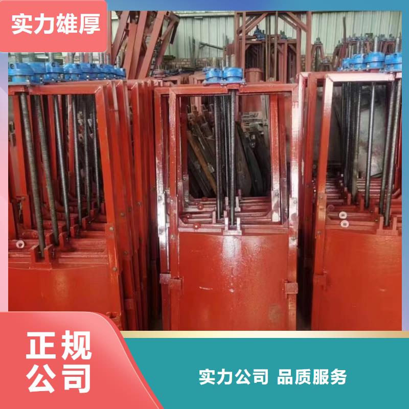 铸铁闸门-4米*4米铸铁闸门创新