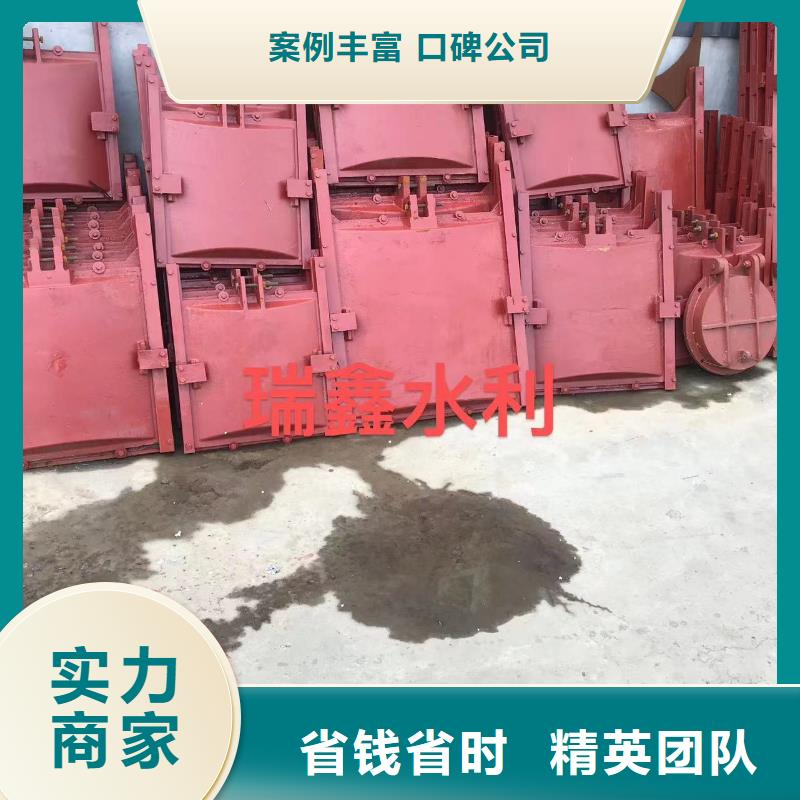 铸铁镶铜闸门-水闸闸门品质卓越