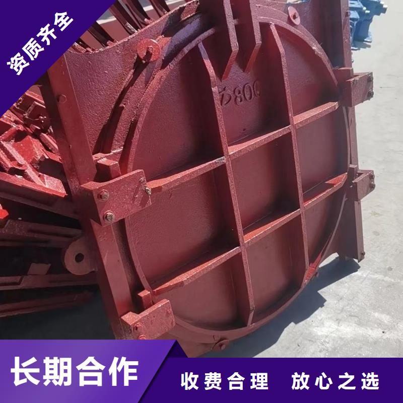 铸铁镶铜闸门-PZ双向止水铸铁镶铜闸门节能