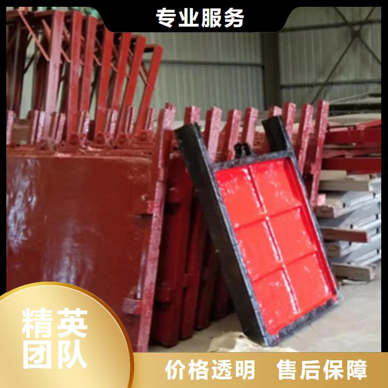 閘門啟閉機_p型止水帶閘門水封-價格多少