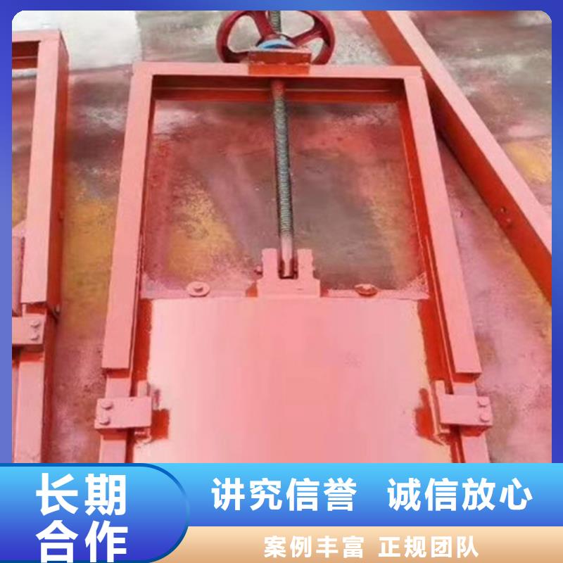 铸铁镶铜闸门-农田小型排灌区闸门售后无忧