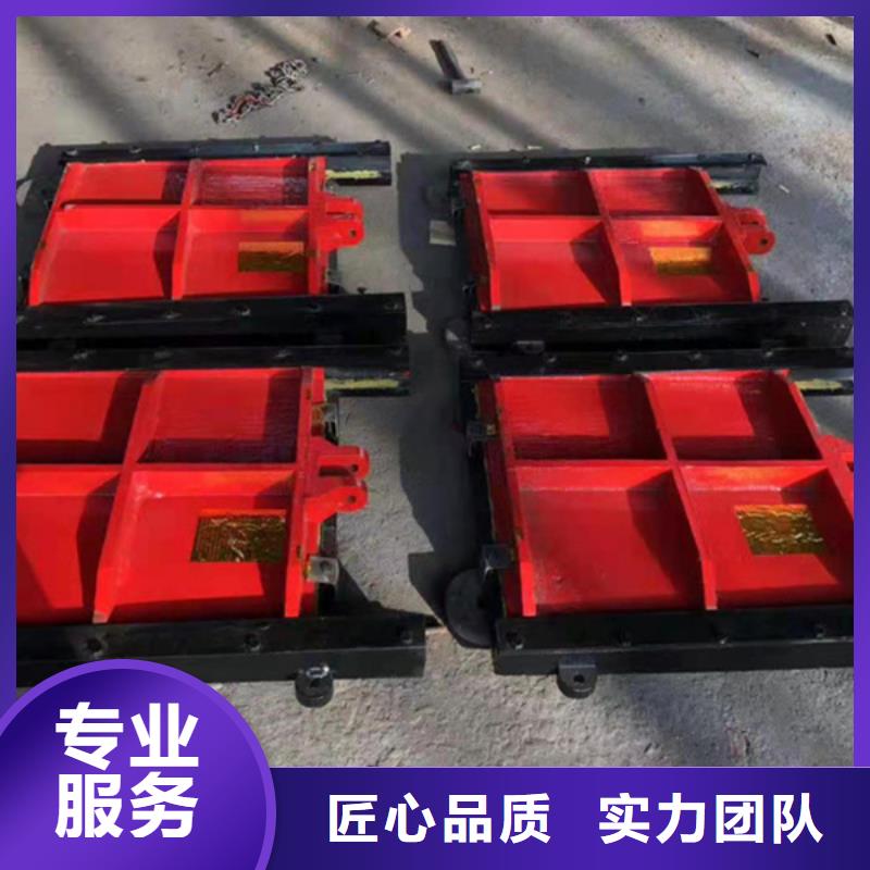啟閉機(jī)閘門-異形鑄鐵雙向止水閘門耐用可靠