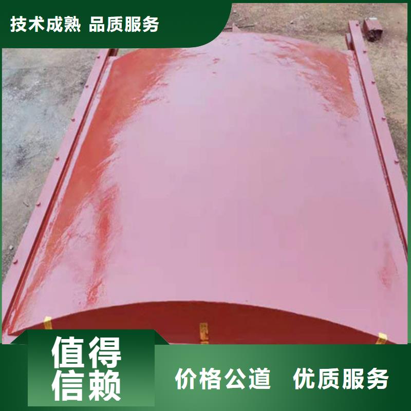 铸铁镶铜闸门-PZ双向止水铸铁镶铜闸门节能