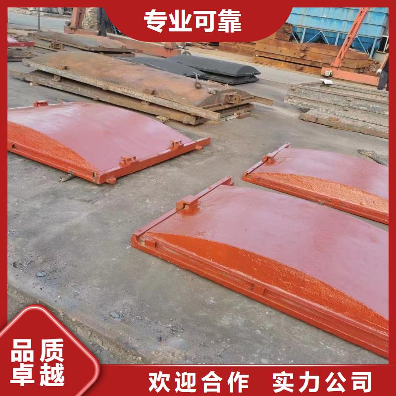 河道鑄鐵閘門(mén)-平面鋼閘門(mén)防腐鋼制閘門(mén)自動(dòng)化