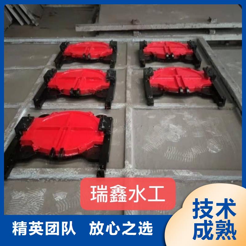 平面拱形閘門-雙向鑄鐵鑲銅閘門老品牌
