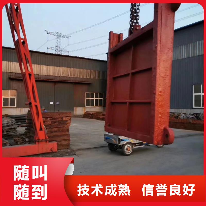 平面拱形閘門-雙向鑄鐵鑲銅閘門老品牌