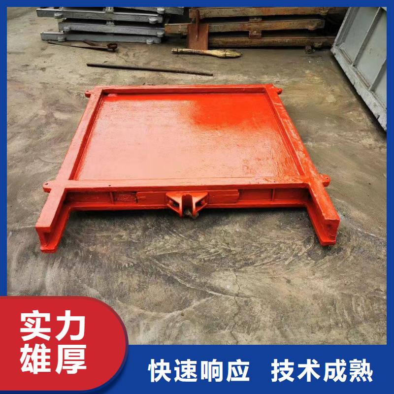 鑄鐵閘門(mén)-高壓鑄鐵閘門(mén)耐用可靠