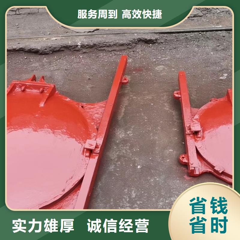 鑄鐵閘門-啟閉機(jī)高壓鑄鐵閘門經(jīng)久耐用