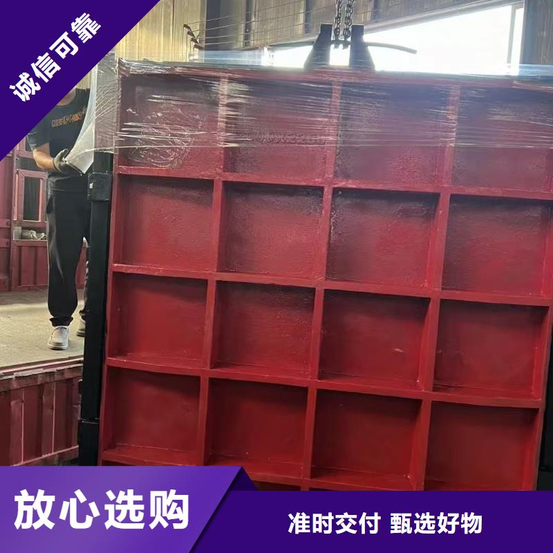 閘門啟閉機(jī)-PZ平板平面雙向止水鑄鐵閘門24小時售后服務(wù)
