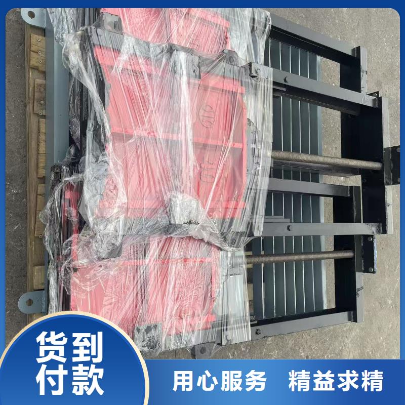 鑄鐵鑲銅閘門-雙向攔水鑄鐵閘門節(jié)能