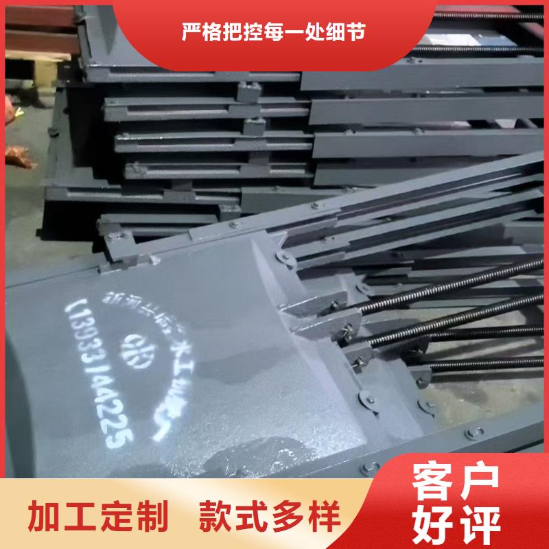 鑄鐵閘門-啟閉機高壓鑄鐵閘門經(jīng)久耐用