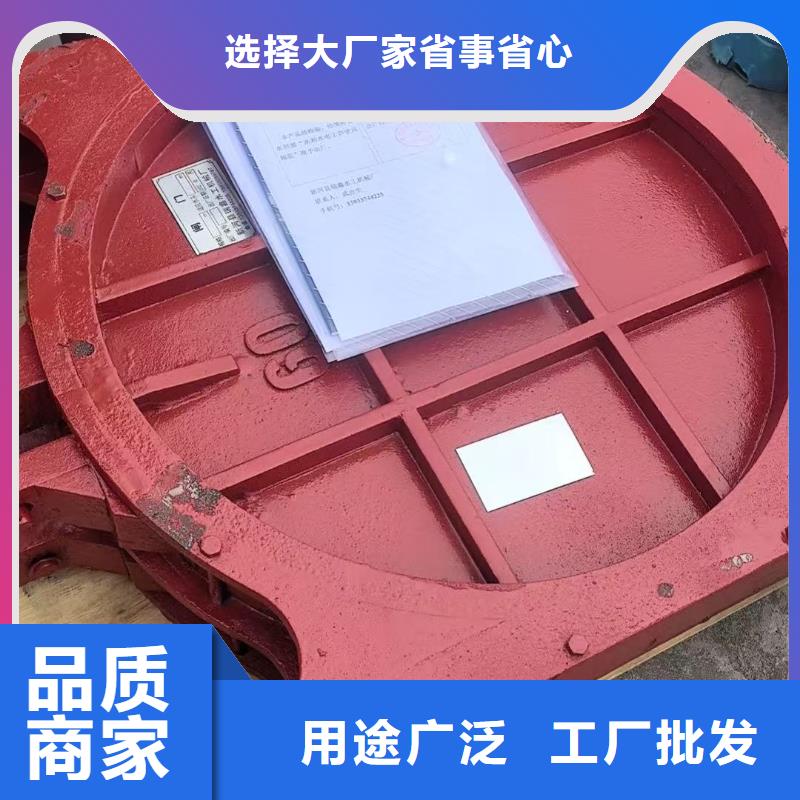 铸铁镶铜闸门-农田灌溉铸铁闸门品质卓越