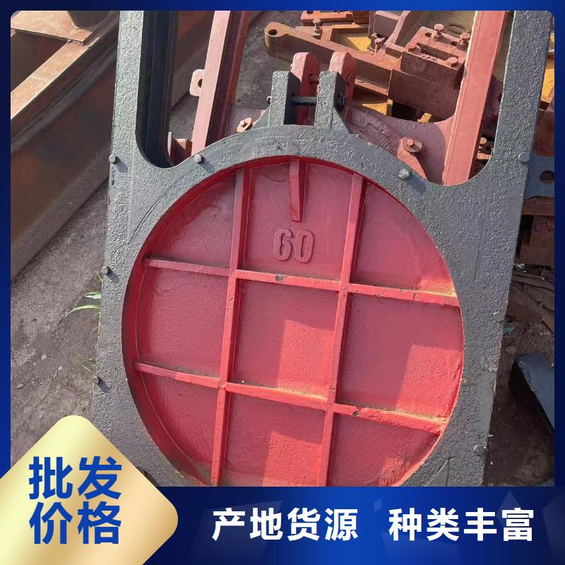 渠道闸门-水利闸门启闭机信誉良好