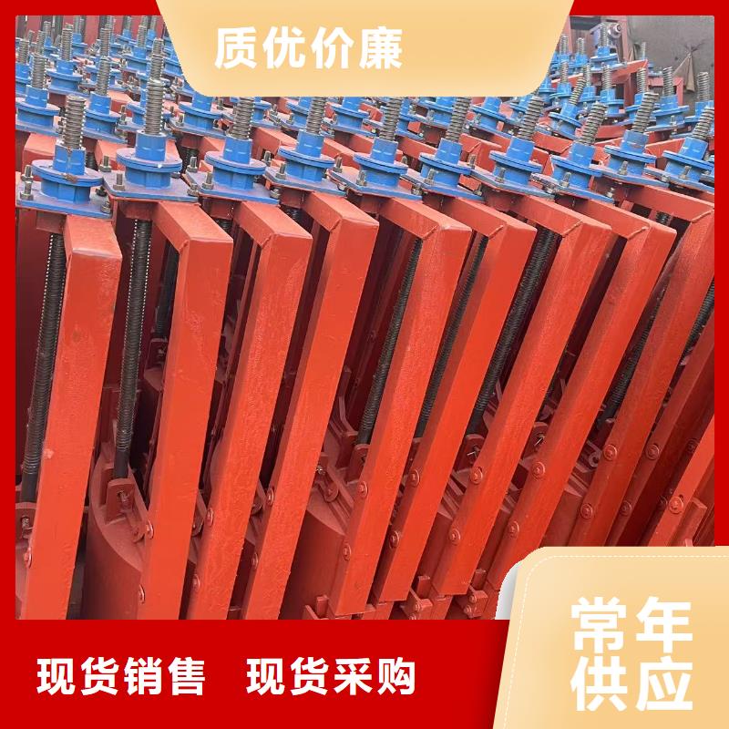 铸铁闸门-pz止水铸铁闸门性价比高